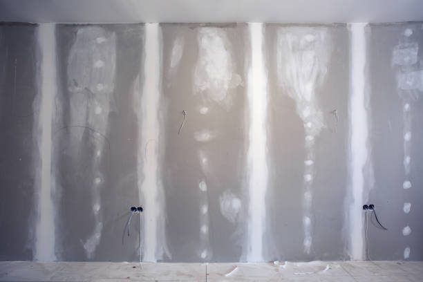 Best Drywall Crack Repair  in Pahokee, FL